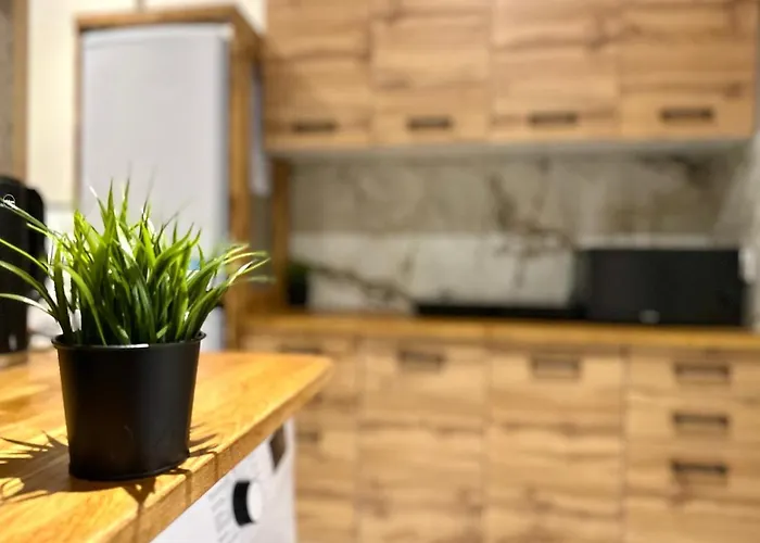 Mmrent Tsunami Ubytování v soukromí Gdaňsk